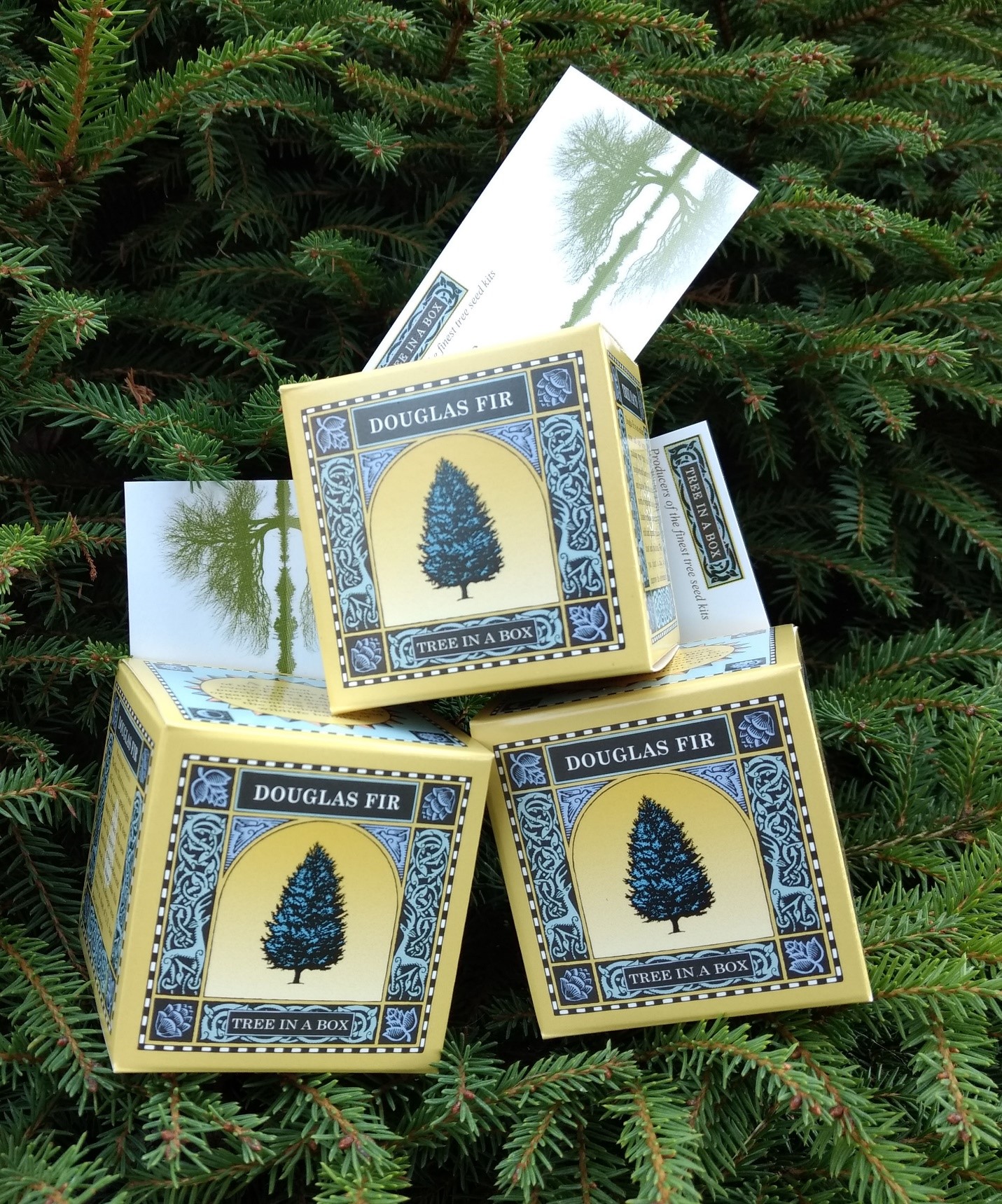 Corporate business card tree kits