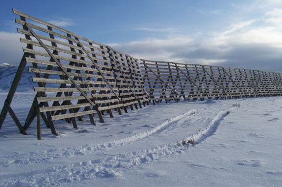 Snow Fence